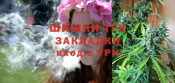 стаф Верея