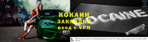 стаф Верея