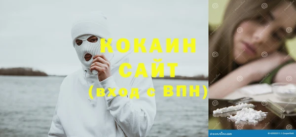 стаф Верея