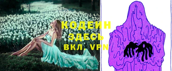 стаф Верея