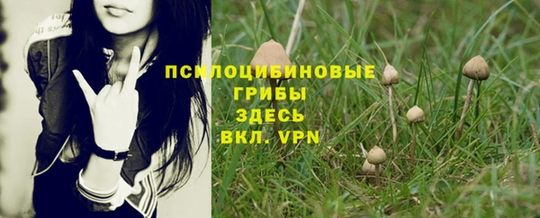 бошки Бугульма