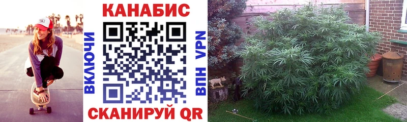 Купить где  Коркино  Шишки марихуана конопля 